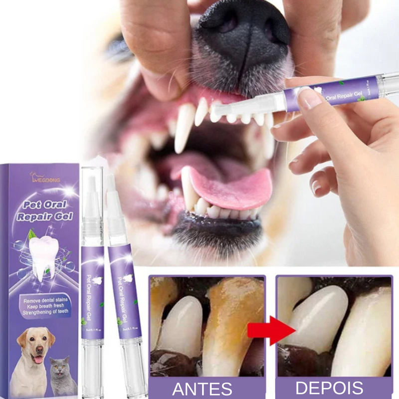 Caneta Anti Tártaro Para Pets