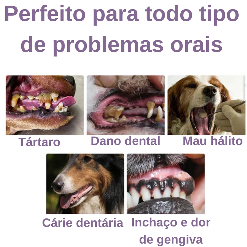 Caneta Anti Tártaro Para Pets