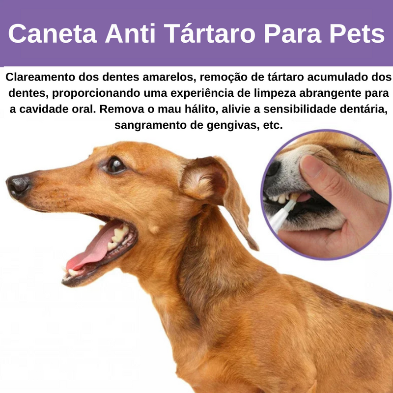 Caneta Anti Tártaro Para Pets