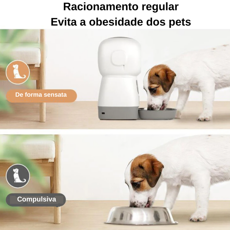 Dispensador De Comida Automático Premium